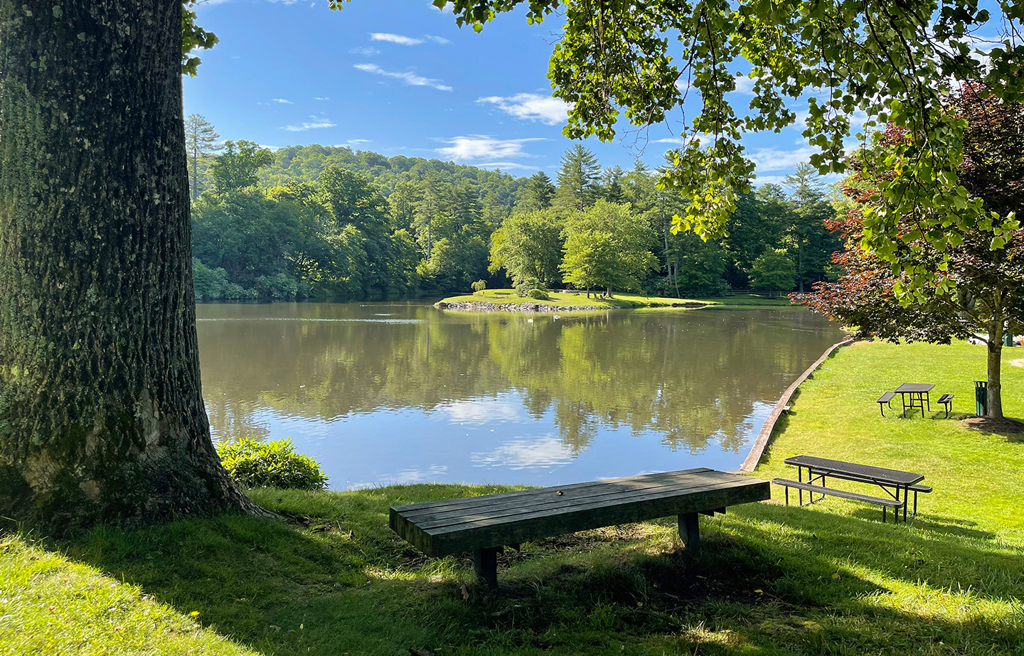 a bench next to a lake