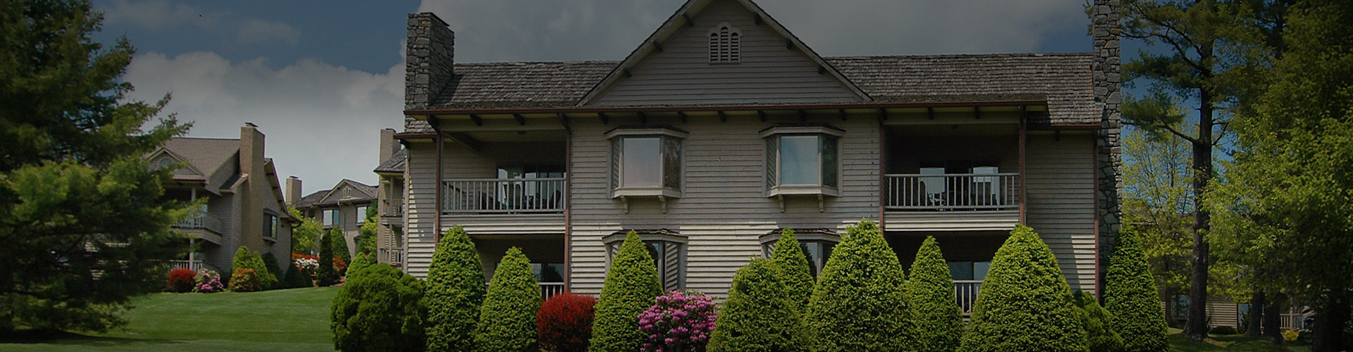 a house with a few trees