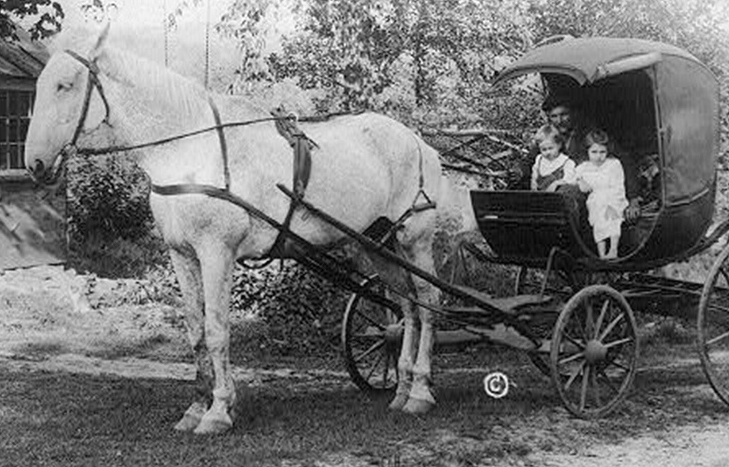 a horse pulling a carriage with a group of children