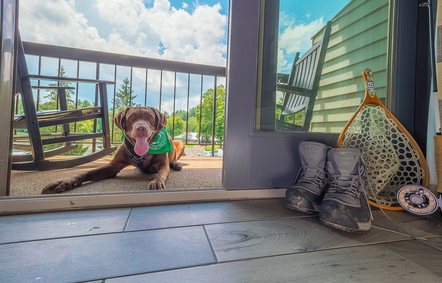 a dog lying on the ground next to a door