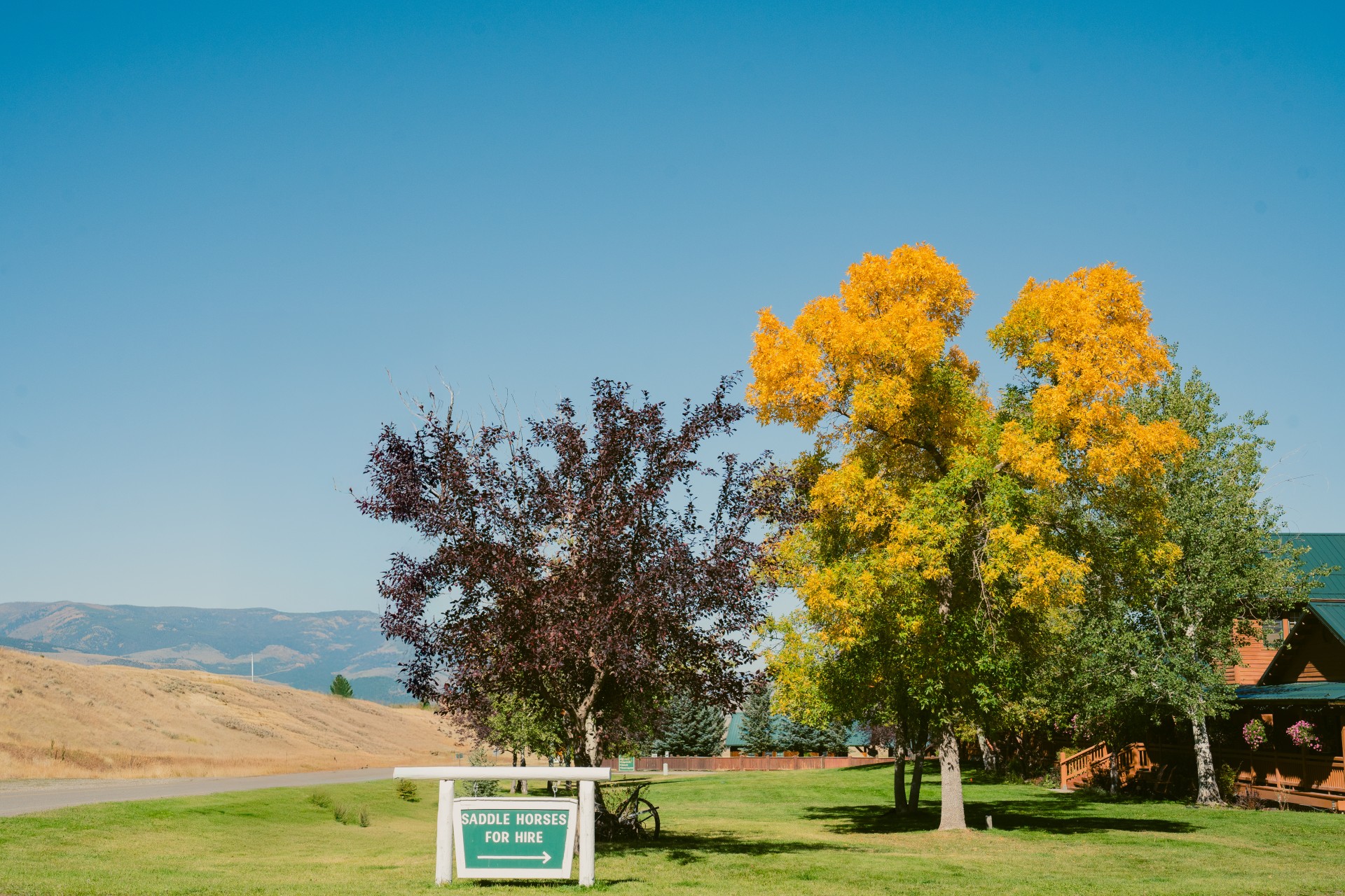 a sign with trees in the background