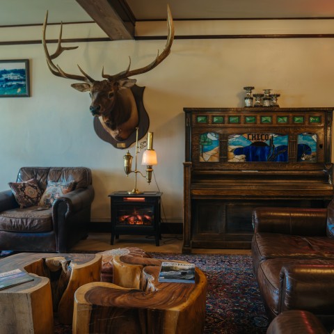 a room with a piano and a deer head