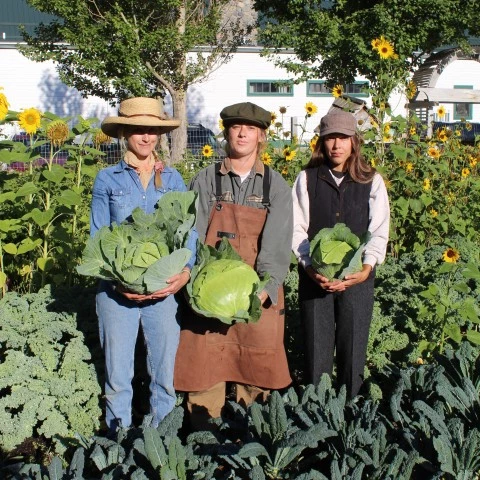 a group of people holding cabbages in a garden