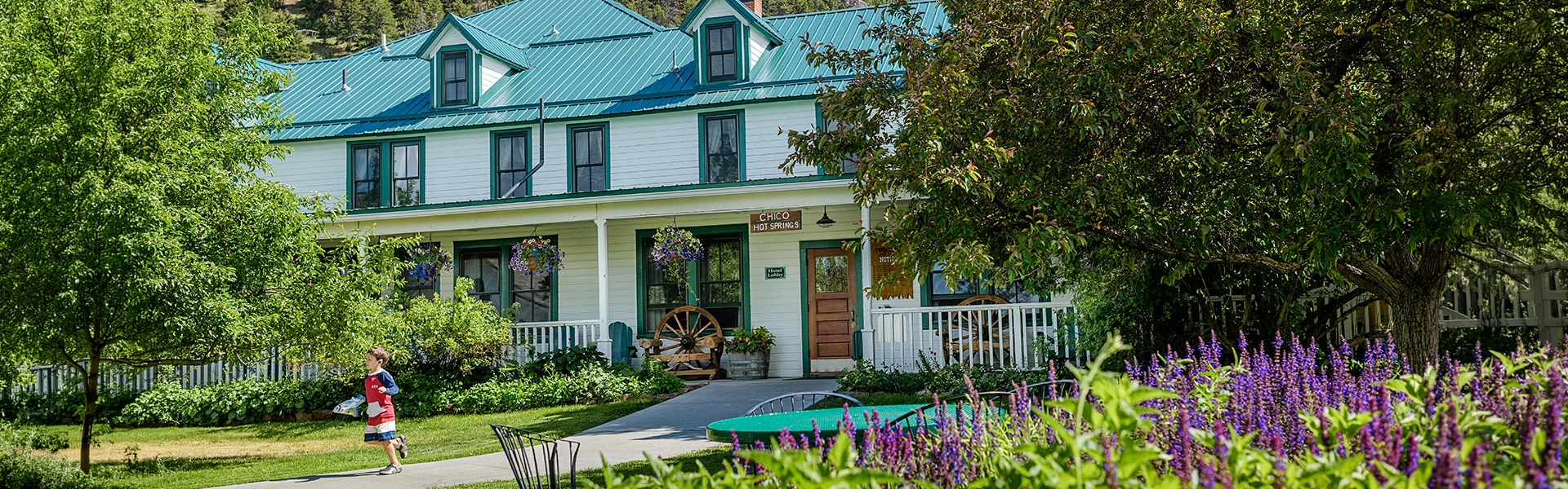 hero image for a house with a green roof