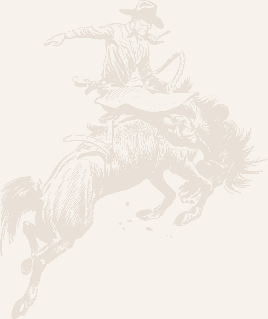 a man riding a horse