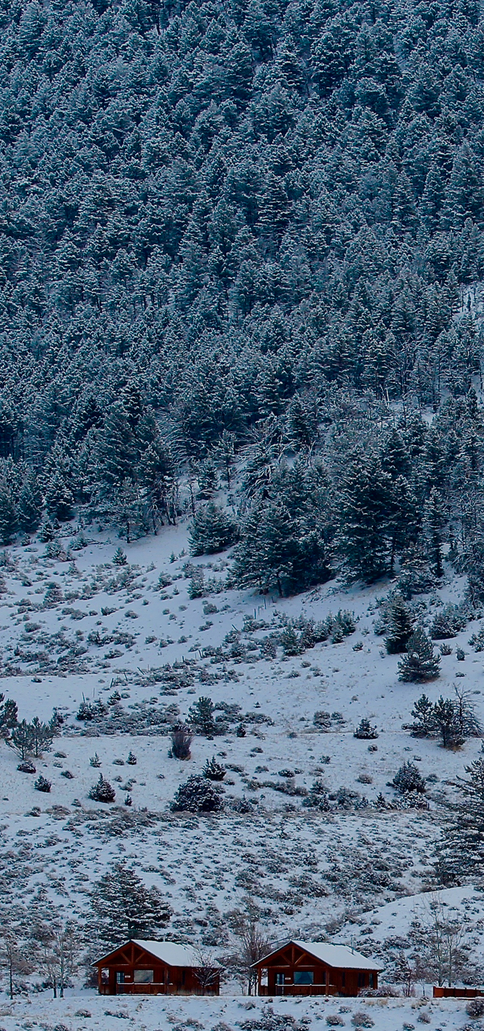 a snowy mountain with trees