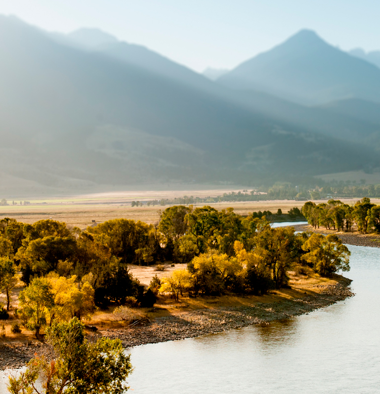 a river with trees and mountains in the background
