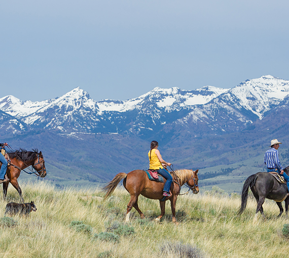 post image for people riding horses in a field