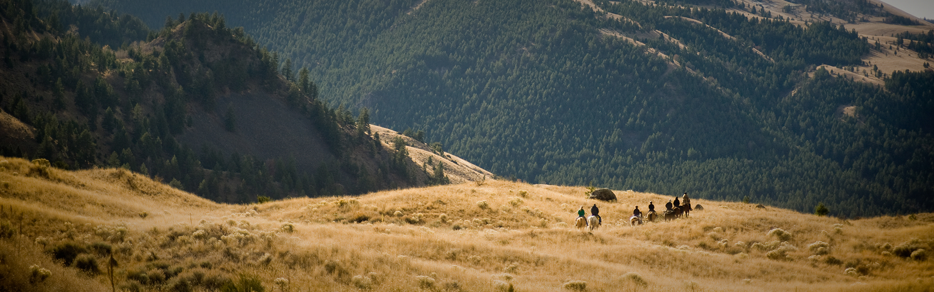 a group of people riding horses on a grassy hill