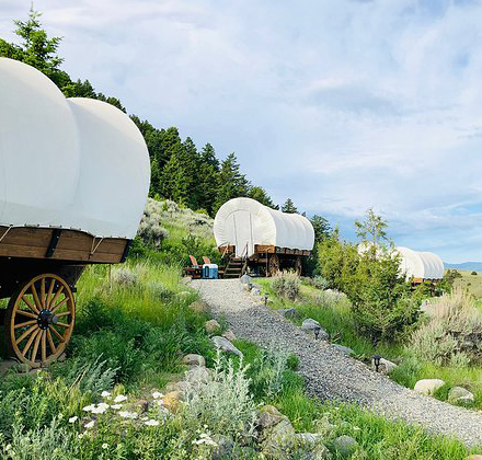 a wagon with white covered wagons on a hill