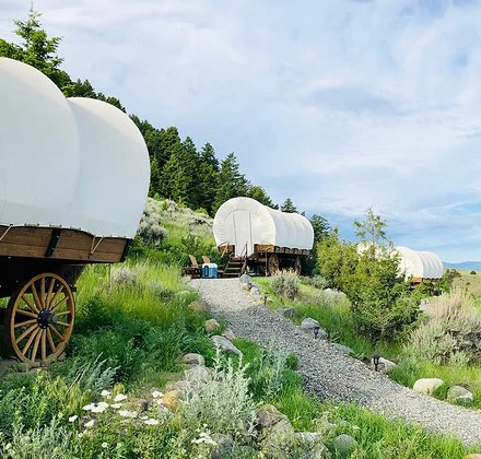 a wagon with white covered wagons on a hill