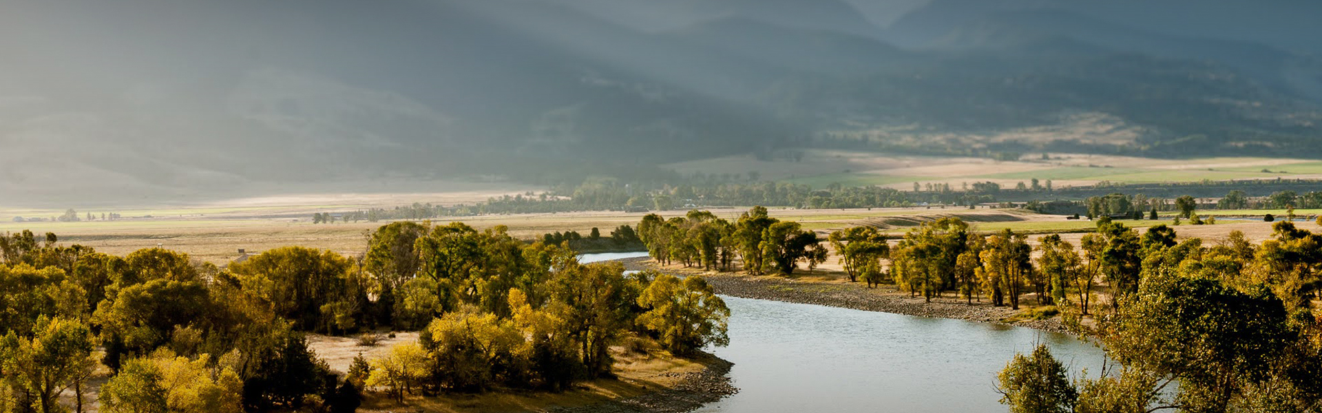 hero image for a river with trees and grass