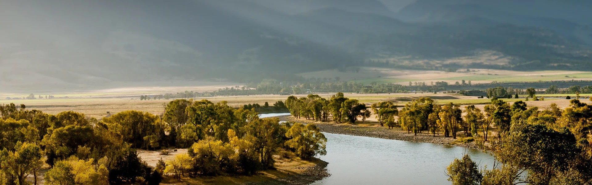 hero image for a river with trees and grass