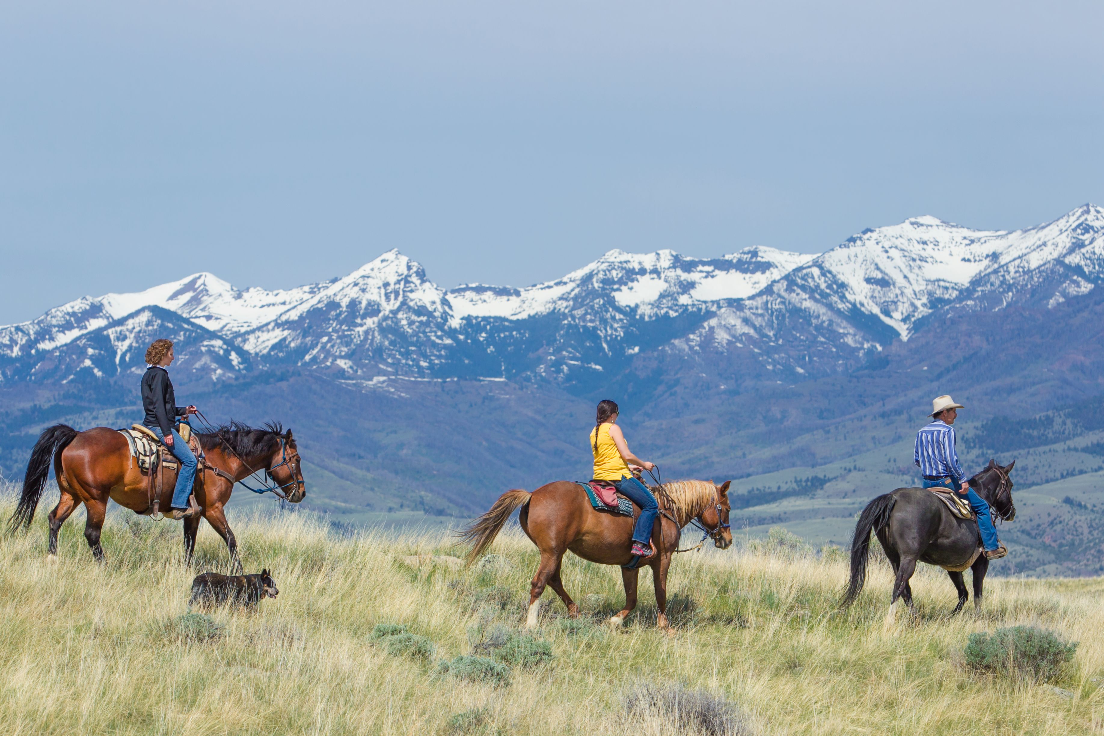 a group of people riding horses in a grassy field with mountains in the background