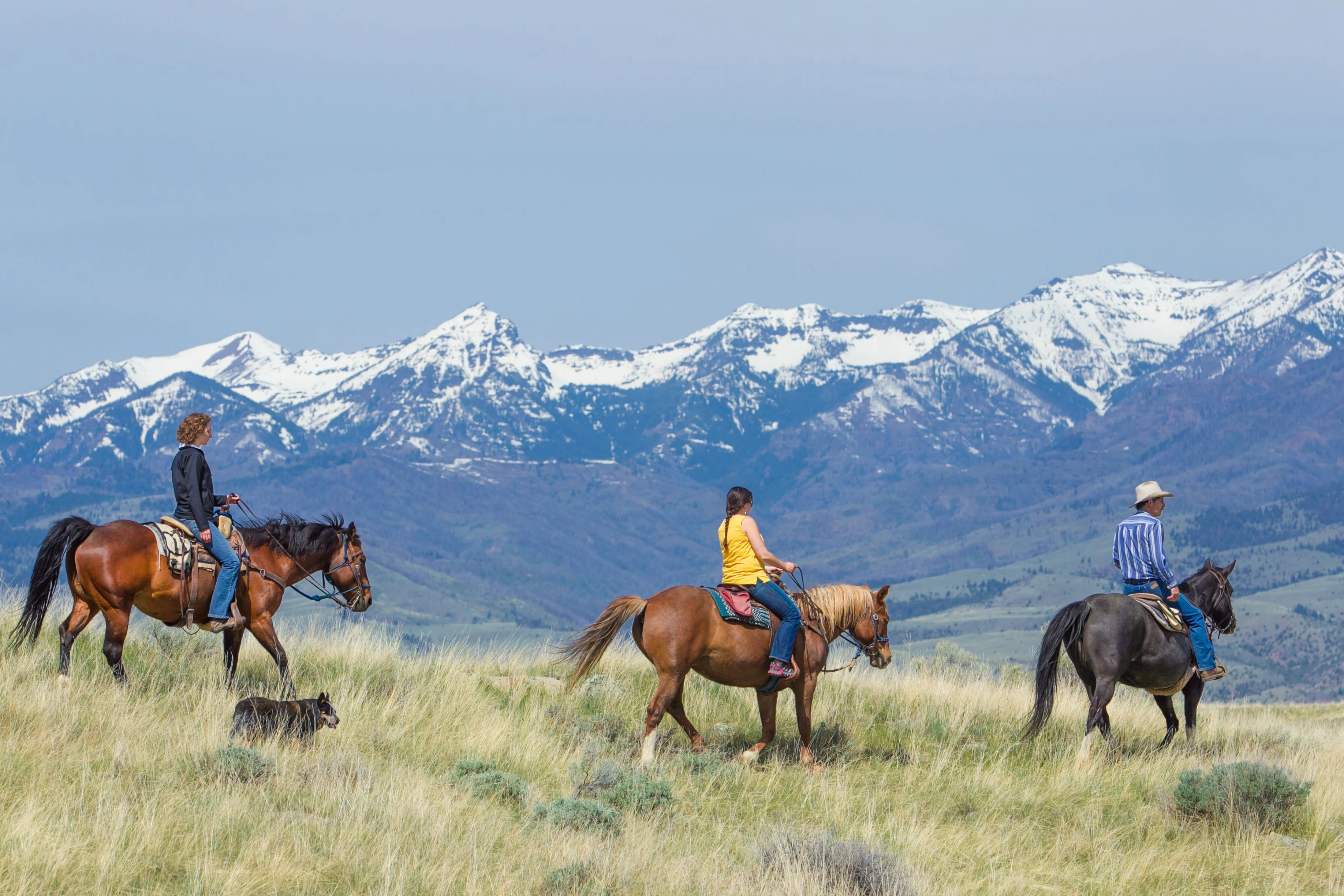 hero image for a group of people riding horses in a grassy field with mountains in the background