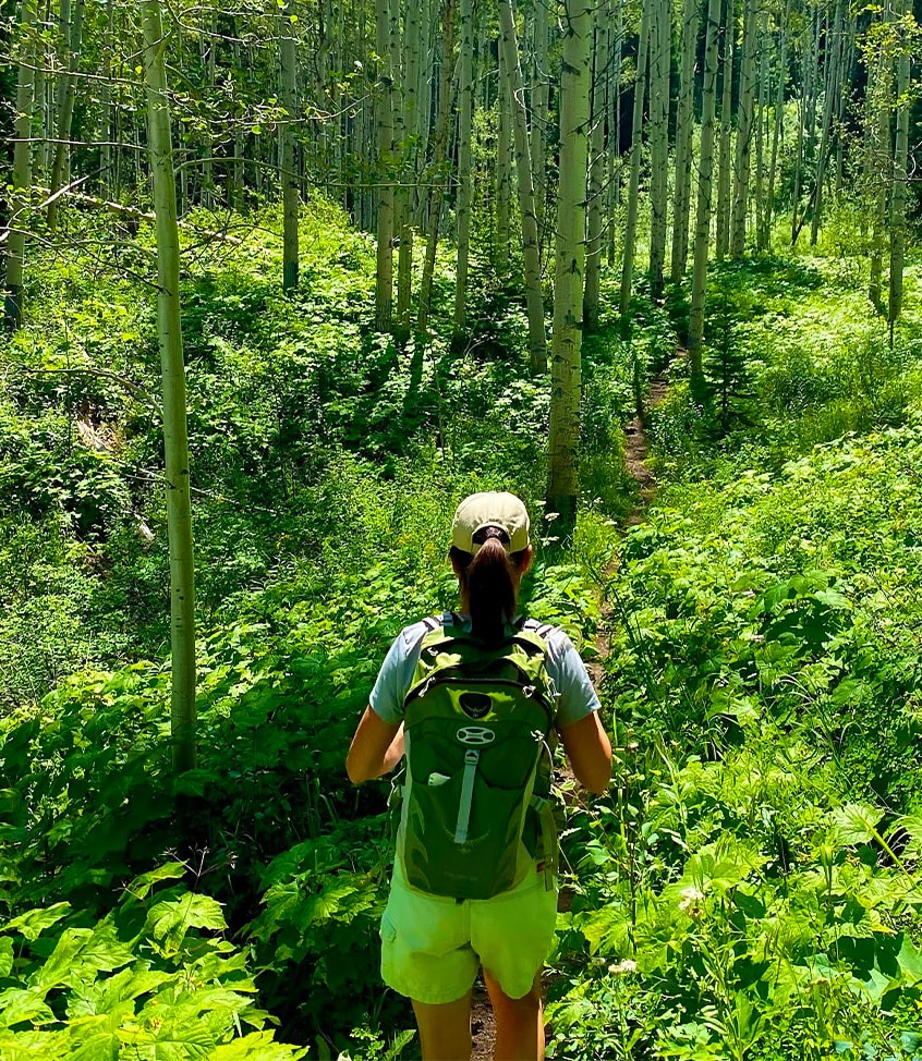 a person walking through a forest