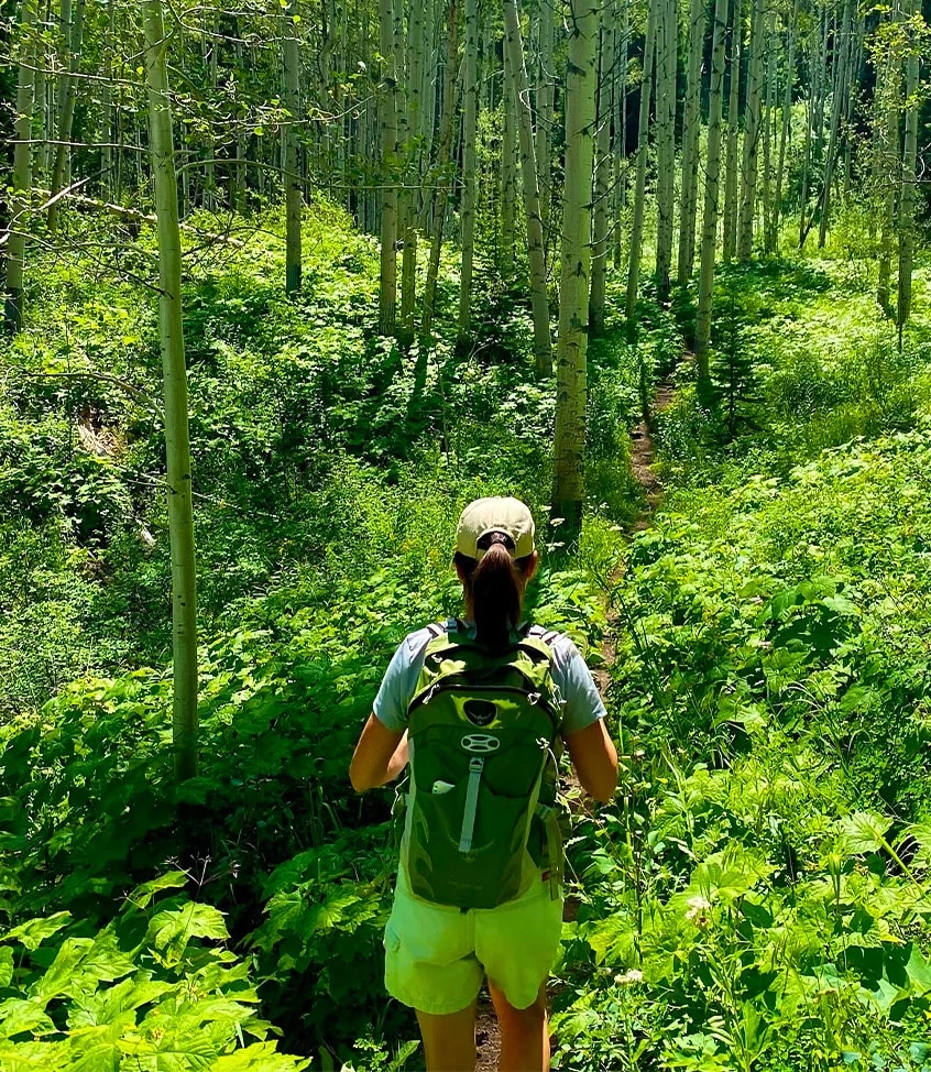 a person walking through a forest