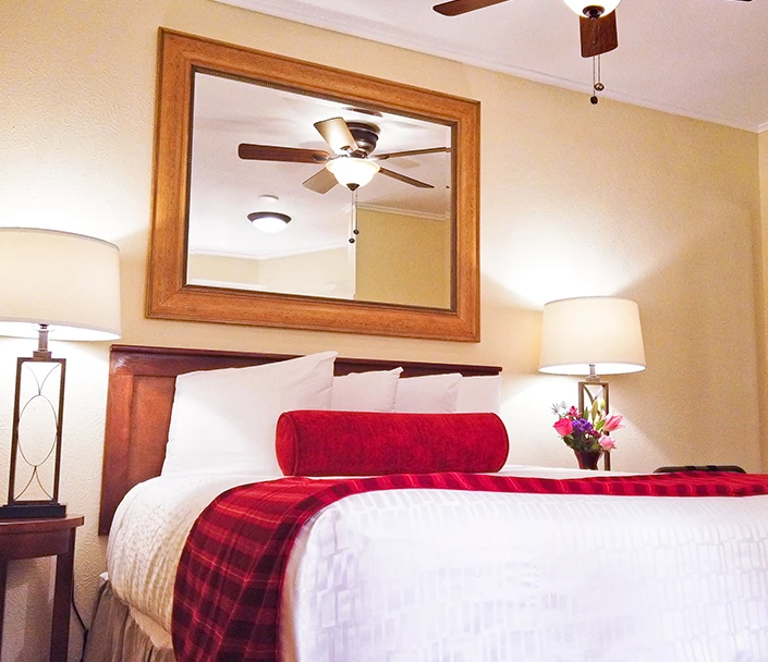 a mirror above a bed