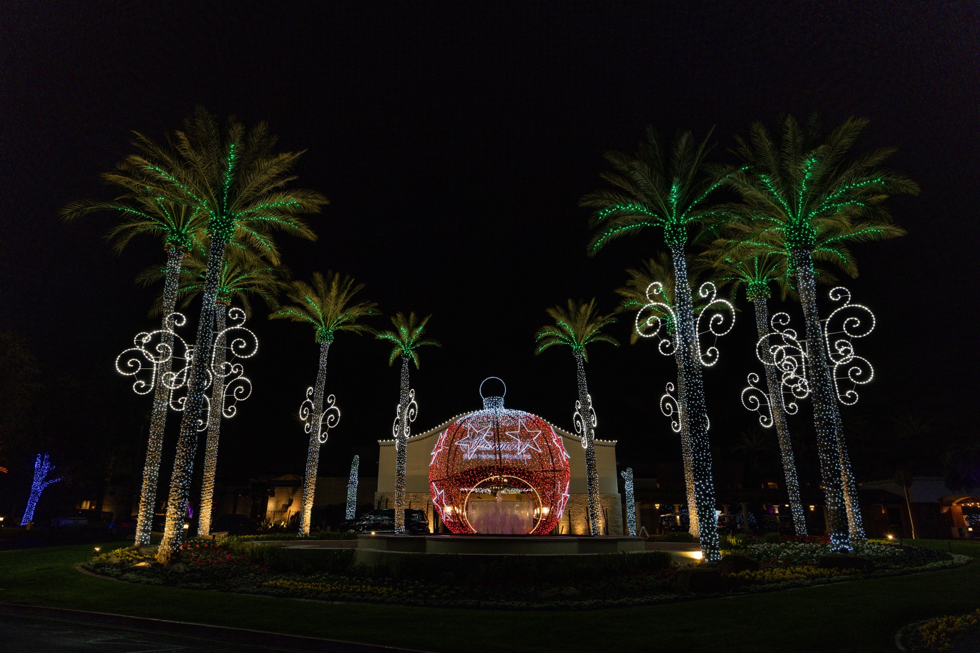 palm trees with lights and a building in the background Preview