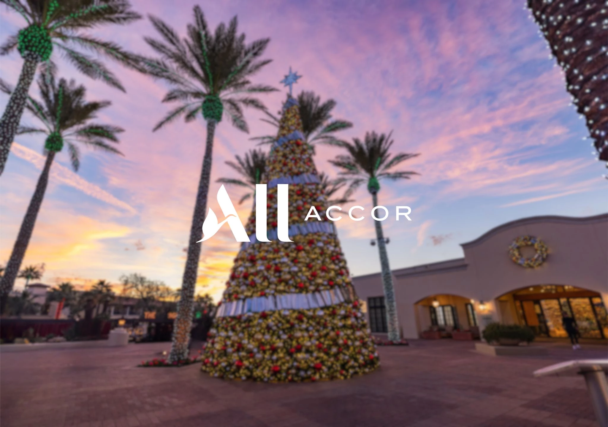 a group of palm trees with lights
