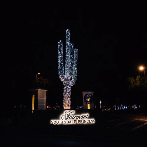 a large cactus with lights at night