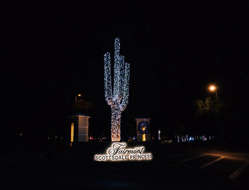 a large cactus with lights at night