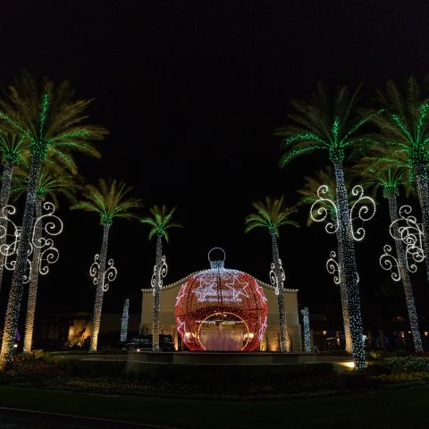 palm trees with lights and a building in the background