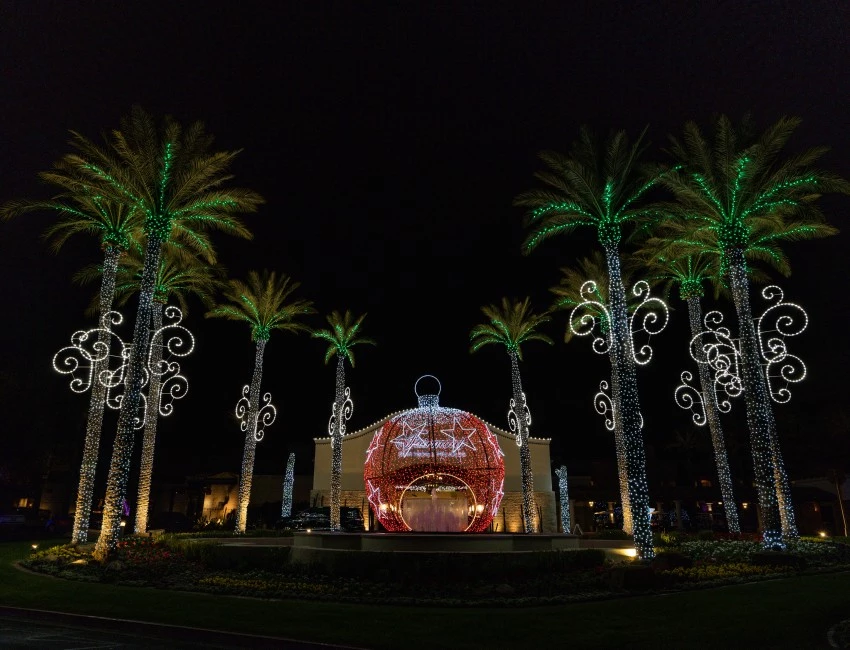 palm trees with lights and a building in the background