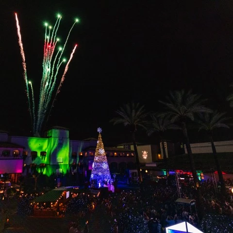 fireworks in the sky over a building