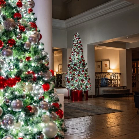 a christmas tree in a room