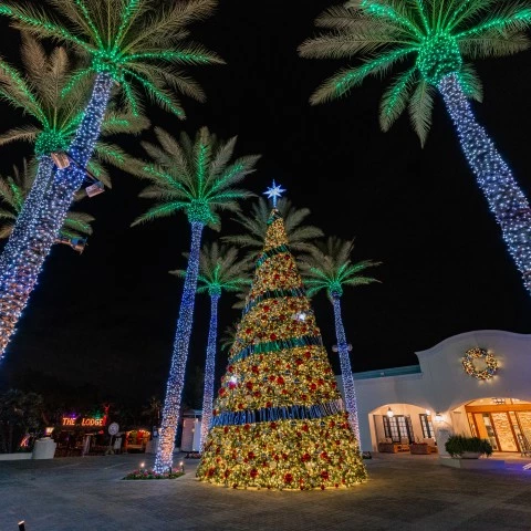 a large christmas tree with lights and palm trees