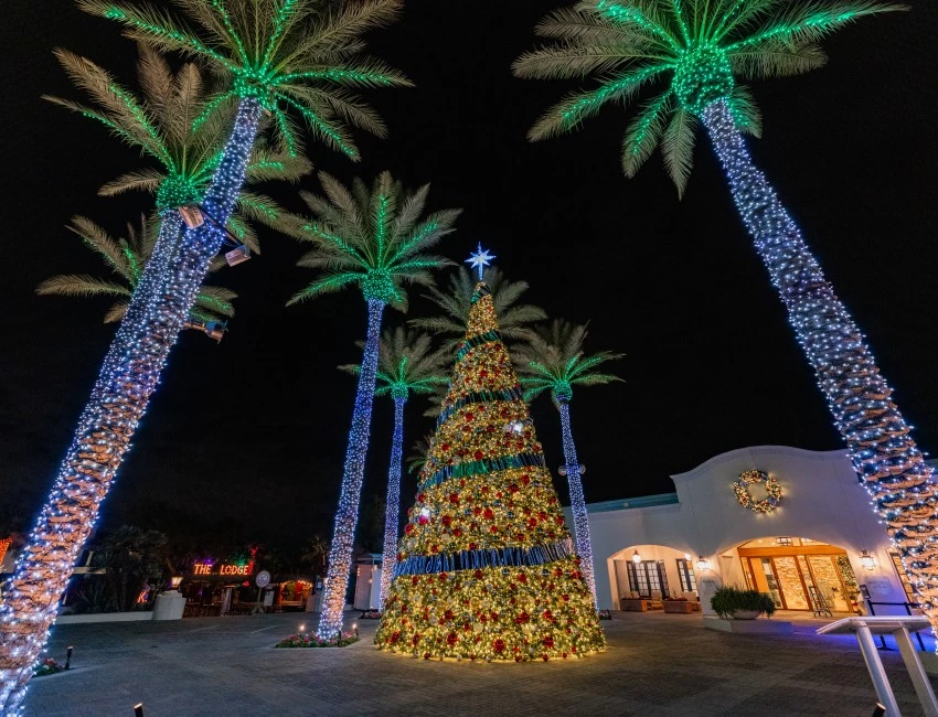 a large christmas tree with lights and palm trees