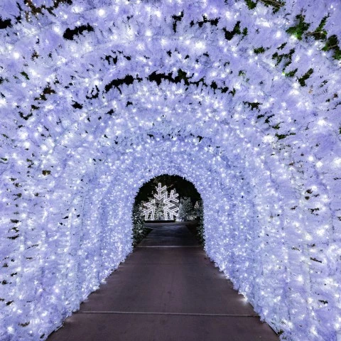 a tunnel of white lights