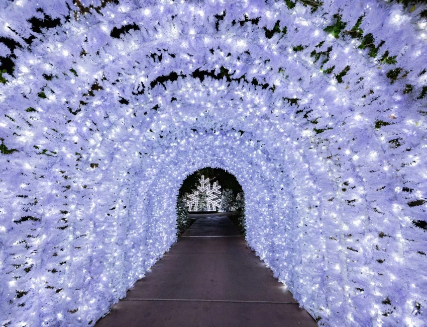 a tunnel of white lights