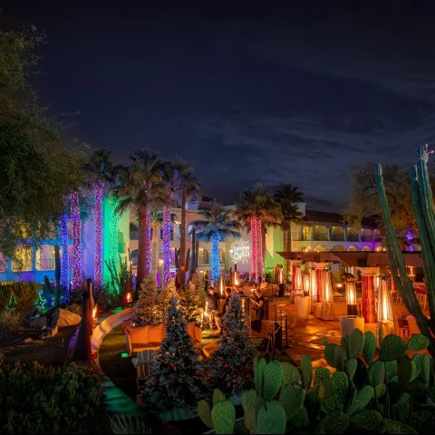 a group of trees with lights and a building in the background