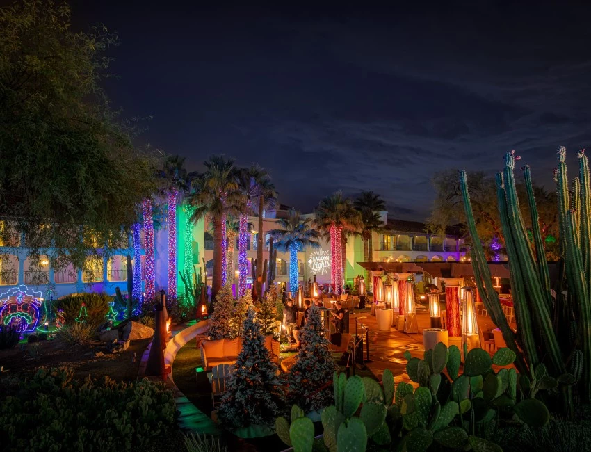 a group of trees with lights and a building in the background