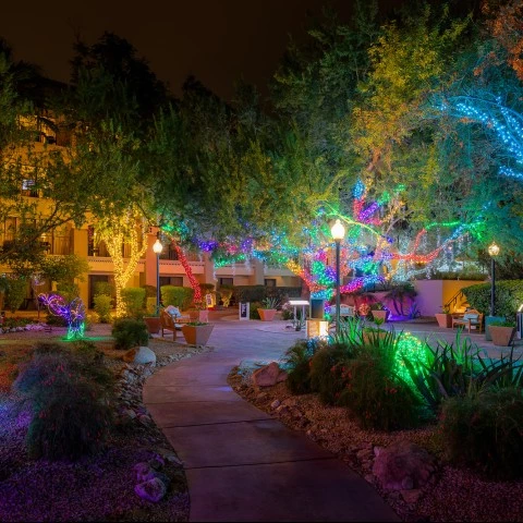 a walkway with lights on trees and buildings at night