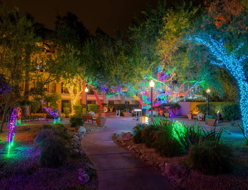 a walkway with lights on trees and buildings at night