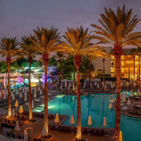 a pool with palm trees and umbrellas