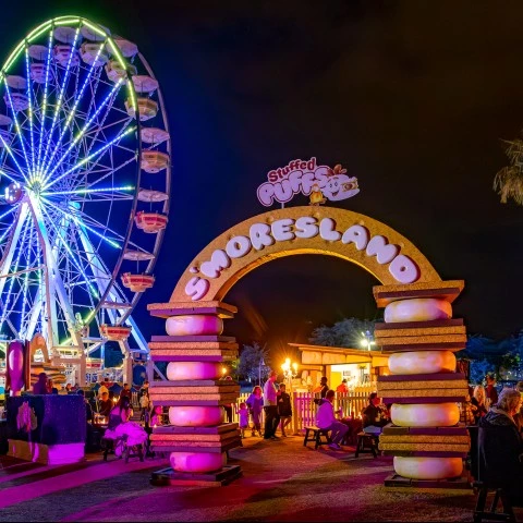 a ferris wheel and a sign at night