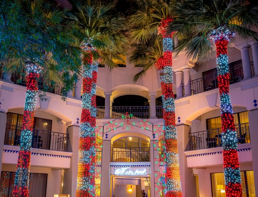 a building with palm trees and lights