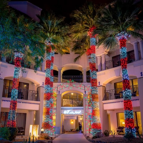 a building with palm trees and lights