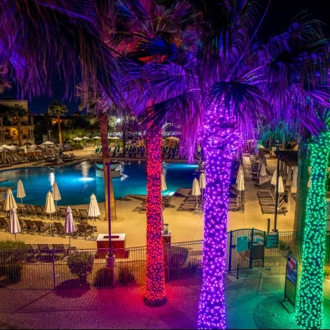 a pool with palm trees and lights at night