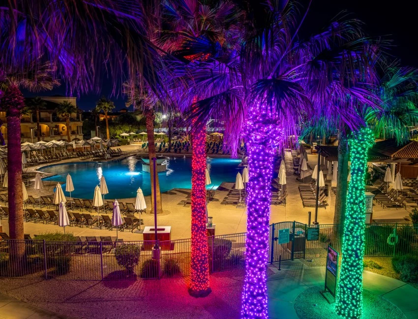 a pool with palm trees and lights at night