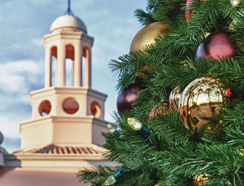 close up of the gold and red decorations on a large christmas tree