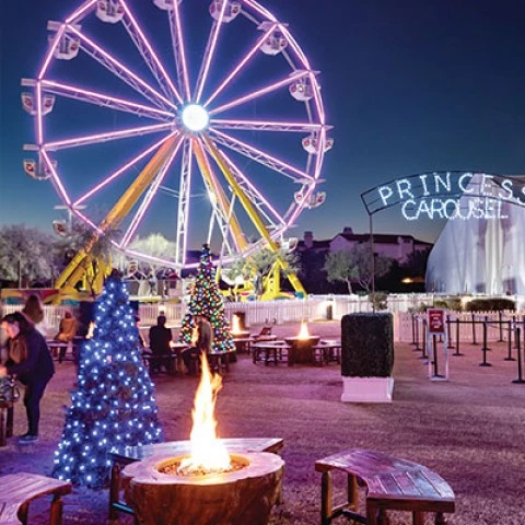 a lit fire pit with benches around it and a ferris wheel behind it at night