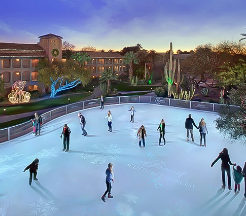 a group of people ice skating