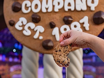 a hand holding a cookie