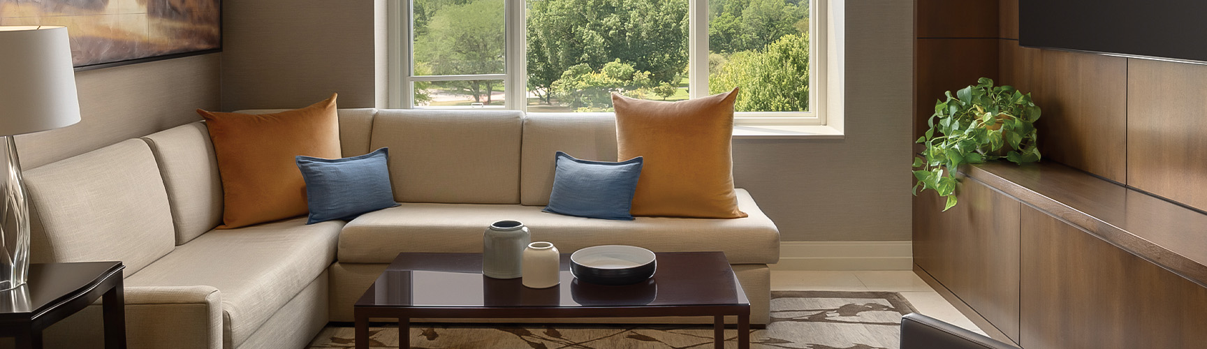 a couch with pillows and a bowl on a coffee table