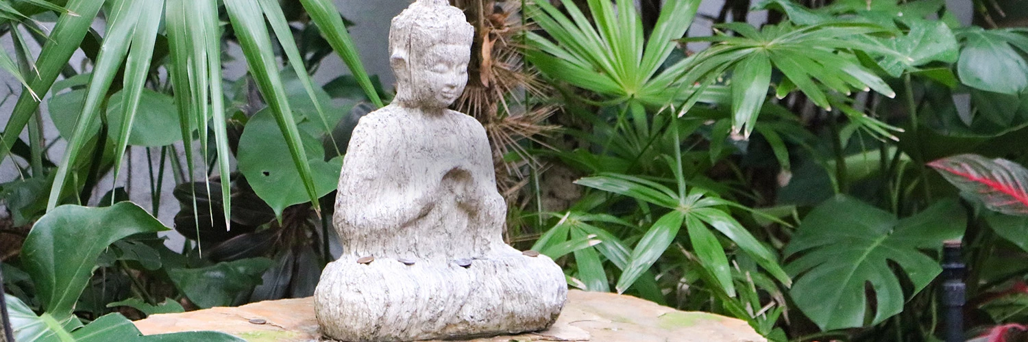 stone buddha statue in wundergarden